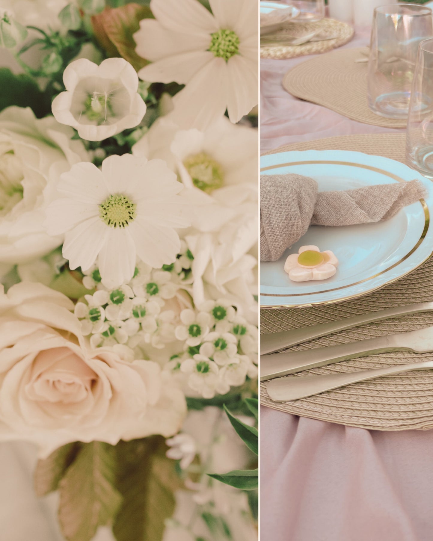 Boutique Picnic, Premium